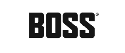Boss Recovery
